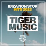 cover: Various - Ibiza Non Stop Hits 2023