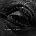 cover: Amon Tobin - Rise To Ashes