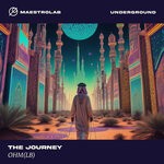 cover: Ohm (lb) - The Journey