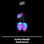 cover: Andrea Rapelli - Swell Sound