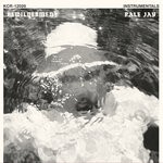 cover: Pale Jay - Bewilderment (Instrumentals)