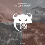 cover: Brian Don - What Is Real?