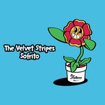 cover: The Velvet Stripes - Sofrito