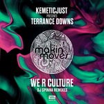 cover: Terrance Downs - We R Culture (DJ Spinna Remixes)