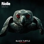 cover: Riolie - Ballyhoo