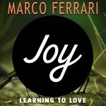 cover: Marco Ferrari - Learning To Love