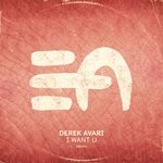 cover: Derek Avari - I Want U