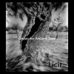 cover: Licit - Under An Ancient Tree