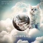 cover: Matthias Springer - Cat In The Clouds