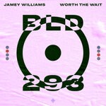 cover: Jamey Williams|Sydtherockerkid - Worth The Wait