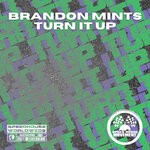 cover: Brandon Mints - Turn It Up