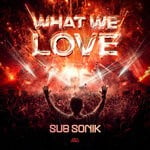 cover: Sub Sonik - What We Love