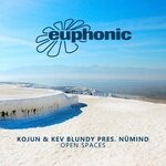 cover: Kev Blundy|Kojun|Numind - Open Spaces