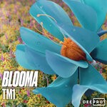 cover: Tm1|Deeprot - Blooma