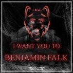 cover: Benjamin Falk - I Want You To