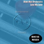 cover: Wah Mui Orchestra - Lost My Love (House Mixes)