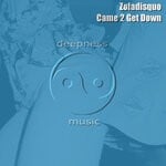 cover: Zofadisquo - Came 2 Get Down