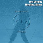 cover: Soul Circuitry - She Likes 2 Dance (On The Break)