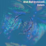 cover: Wah Mui Orchestra - Colors