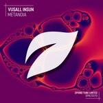 cover: Vusall Insun - Metanoia