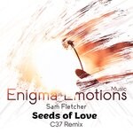 cover: Sam Fletcher - Seeds Of Love (C37 Remix)