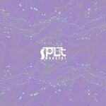 cover: Split - Mndctrl