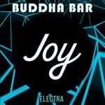 cover: Buddha-bar Chillout - Electra