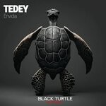 cover: Tedey - Envidia