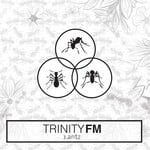 cover: Trinity Fm - Antz