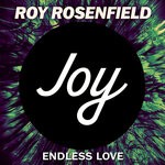 cover: Roy Rosenfield - Endless Love