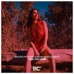 cover: Brooklyn Shanti - Take You Home