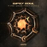 cover: Gipsy Soul - Find Your Frequency (Original Mix)