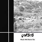 cover: Pulses - Music Will Never Die