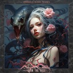 cover: Diabolical Orchestra - Burn The Rose