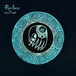 cover: Steve Cook - Recluse