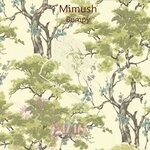 cover: Mimush - Bumpy