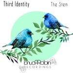 cover: Third Identity - The Stem