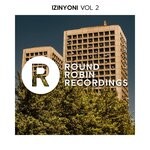 cover: Various - IZINYONI, Vol 2