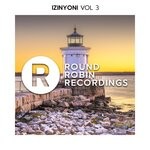 cover: Various - IZINYONI, Vol 3