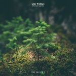 cover: Lior Fellus - Distant Lands