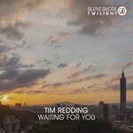 cover: Tim Redding - Waiting For You