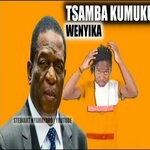 cover: Platinum Prince - Tsamba Kumukuru Wenyika (Letter To President Emmerson Dambudzo Mnangagwa)