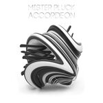 cover: Mister Pluck - Accordeon