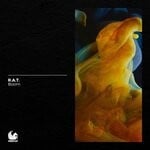 cover: R.a.t. - Boom