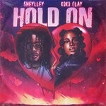 cover: Koko Clay|Sheylley - Hold On