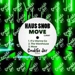 cover: Haus Snob - Move