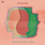 cover: Pandar - Never Felt (Your Love)