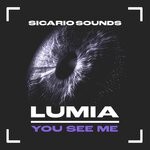 cover: Lumia - You See Me