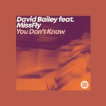 cover: David Bailey|Missfly - You Don't Know