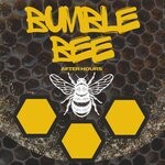 cover: Bumblebee - After Hours